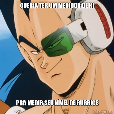 QUERIA TER UM MEDIDOR DE KI PRA MEDIR SEU N�VEL DE BURRICE