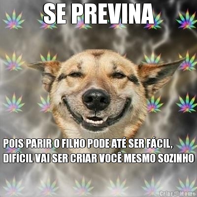 SE PREVINA POIS PARIR O FILHO PODE AT� SER F�CIL,
DIF�CIL VAI SER CRIAR VOC� MESMO SOZINHO