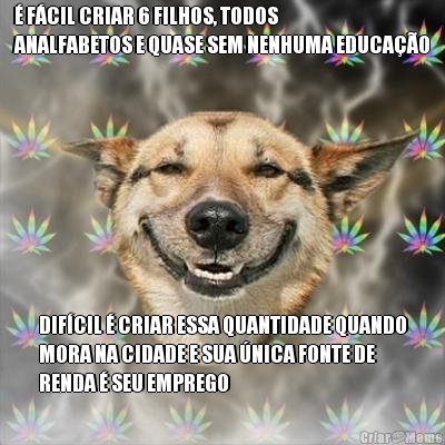 � F�CIL CRIAR 6 FILHOS, TODOS
ANALFABETOS E QUASE SEM NENHUMA EDUCA��O DIF�CIL � CRIAR ESSA QUANTIDADE QUANDO
MORA NA CIDADE E SUA �NICA FONTE DE
RENDA � SEU EMPREGO