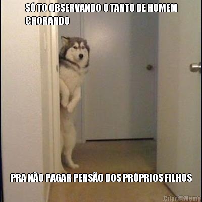 S� TO OBSERVANDO O TANTO DE HOMEM
CHORANDO PRA N�O PAGAR PENS�O DOS PR�PRIOS FILHOS