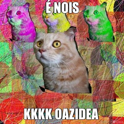 � NOIS KKKK OAZIDEA 