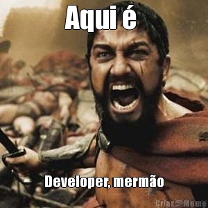 Aqui �  Developer, merm�o
