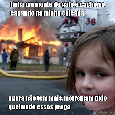 tinha um monte de gato e cachorro
cagando na minha cal�ada agora n�o tem mais, morremam tudo
queimado essas praga