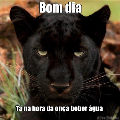 Bom dia T� na hora da on�a beber �gua 