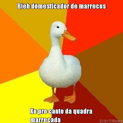 Bieh domesticador de marrecos Xo pro canto da quadra
marrecada