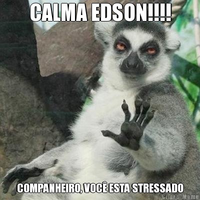 CALMA EDSON!!!! COMPANHEIRO, VOC� ESTA STRESSADO