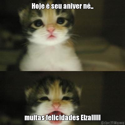 Hoje � seu aniver n�... muitas felicidades Elza!!!!!