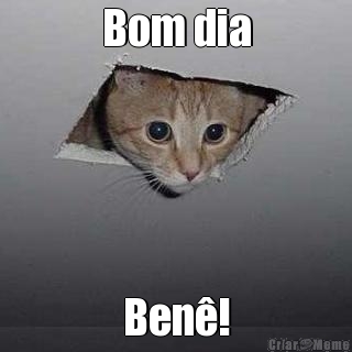 Bom dia Ben�!