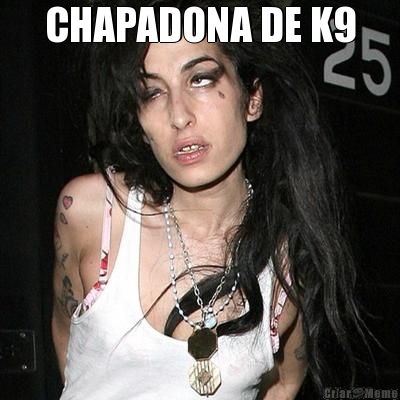 CHAPADONA DE K9 