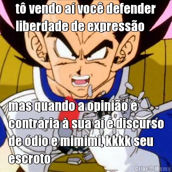 t� vendo a� voc� defender
liberdade de express�o mas quando a opini�o �
contr�ria � sua a� � discurso
de �dio e mimimi, kkkk seu
escroto