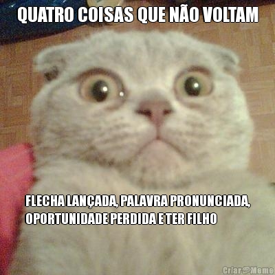 QUATRO COISAS QUE N�O VOLTAM FLECHA LAN�ADA, PALAVRA PRONUNCIADA,
OPORTUNIDADE PERDIDA E TER FILHO