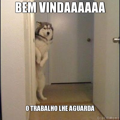 BEM VINDAAAAAA O TRABALHO LHE AGUARDA