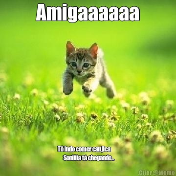 Amigaaaaaa T� indo comer canjica        
      Soniiiia t� chegando...