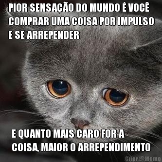 PIOR SENSA��O DO MUNDO � VOC�
COMPRAR UMA COISA POR IMPULSO
E SE ARREPENDER E QUANTO MAIS CARO FOR A
COISA, MAIOR O ARREPENDIMENTO