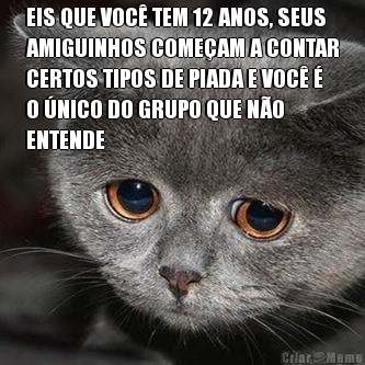EIS QUE VOC� TEM 12 ANOS, SEUS
AMIGUINHOS COME�AM A CONTAR
CERTOS TIPOS DE PIADA E VOC� �
O �NICO DO GRUPO QUE N�O
ENTENDE 