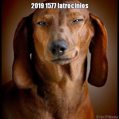 2019 1577 latrocinios 