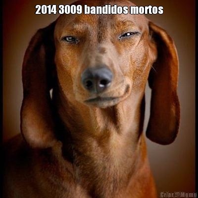 2014 3009 bandidos mortos 
