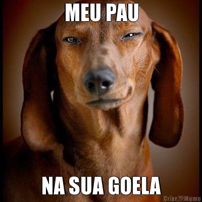 MEU PAU NA SUA GOELA