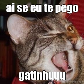ai se eu te pego gatinhuuu