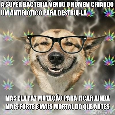 A SUPER BACT�RIA VENDO O HOMEM CRIANDO
UM ANTIBI�TICO PARA DESTRUI-LA MAS ELA FAZ MUTA��O PARA FICAR AINDA
MAIS FORTE E MAIS MORTAL DO QUE ANTES