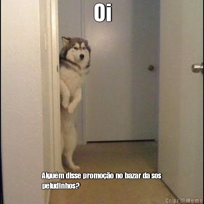 Oi Algu�m disse promo��o no bazar da sos
peludinhos?