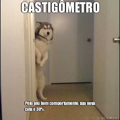 CASTIG�METRO Pelo seu bom comportamento, sua nova
cota � 30%.
