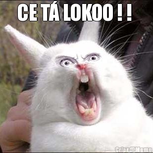 CE T� LOKOO ! !  