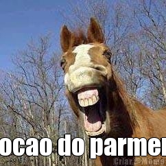  Bocao do parmera