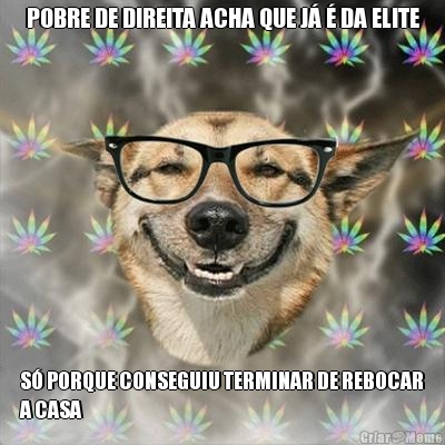 POBRE DE DIREITA ACHA QUE J� � DA ELITE S� PORQUE CONSEGUIU TERMINAR DE REBOCAR
A CASA