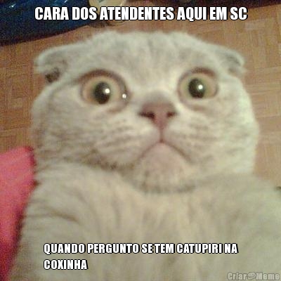 CARA DOS ATENDENTES AQUI EM SC QUANDO PERGUNTO SE TEM CATUPIRI NA
COXINHA