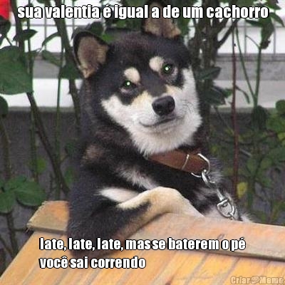 sua valentia � igual a de um cachorro late, late, late, mas se baterem o p�
voc� sai correndo