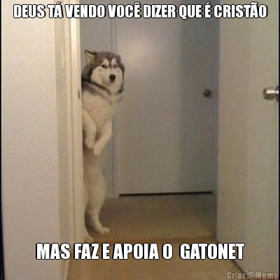 DEUS T� VENDO VOC� DIZER QUE � CRIST�O MAS FAZ E APOIA O  GATONET