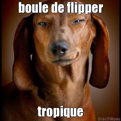 boule de flipper tropique