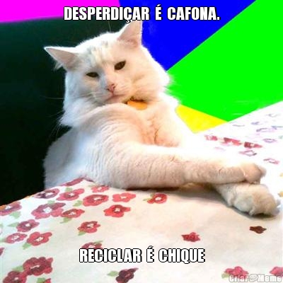 DESPERDI�AR  �  CAFONA. RECICLAR  �  CHIQUE