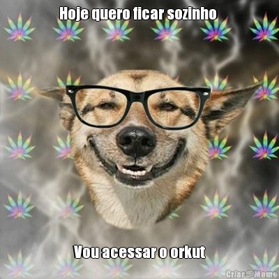 Hoje quero ficar sozinho  Vou acessar o orkut