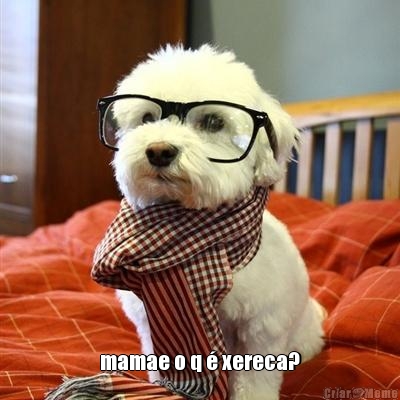  mamae o q � xereca?