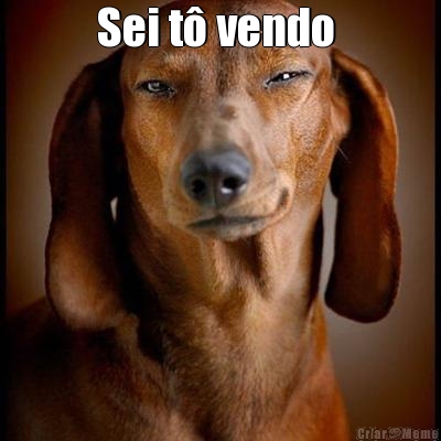 Sei t� vendo  