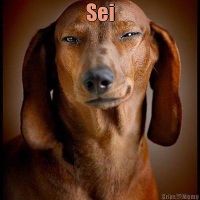 Sei
 