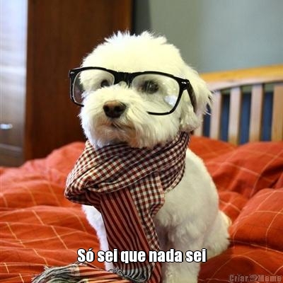  S� sei que nada sei
