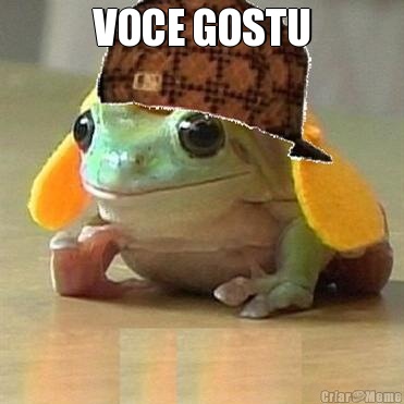 VOCE GOSTU 