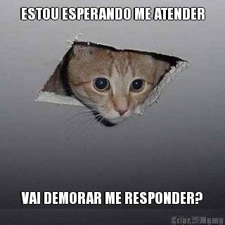 ESTOU ESPERANDO ME ATENDER VAI DEMORAR ME RESPONDER?
