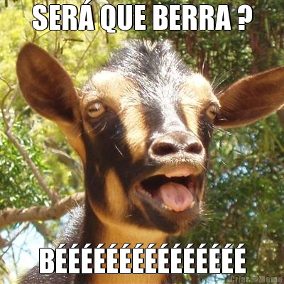 SER� QUE BERRA ? B���������������