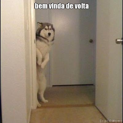 bem vinda de volta 