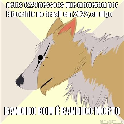 pelas 1229 pessoas que morreram por
latroc�nio no brasil em 2022, eu digo BANDIDO BOM � BANDIDO MORTO