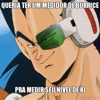 QUERIA TER UM MEDIDOR DE BURRICE PRA MEDIR SEU N�VEL DE KI