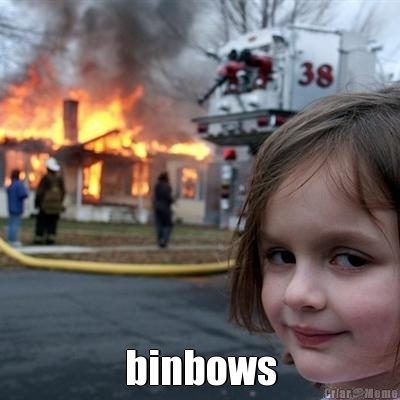  binbows