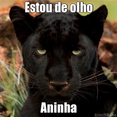 Estou de olho Aninha