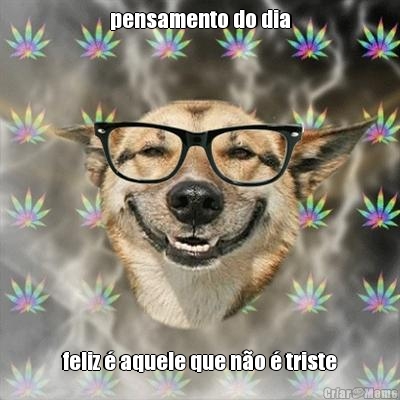 pensamento do dia feliz � aquele que n�o � triste