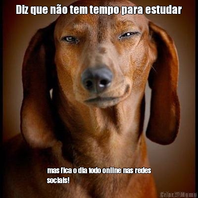 Diz que n�o tem tempo para estudar mas fica o dia todo online nas redes
sociais!