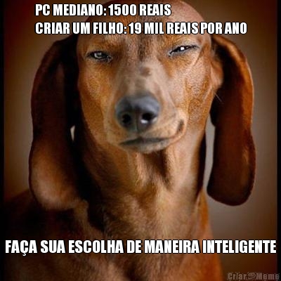 PC MEDIANO: 1500 REAIS
CRIAR UM FILHO: 19 MIL REAIS POR ANO FA�A SUA ESCOLHA DE MANEIRA INTELIGENTE